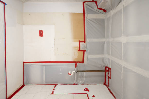 Best Mold Remediation for Vacation Homes  in Somerset, TX