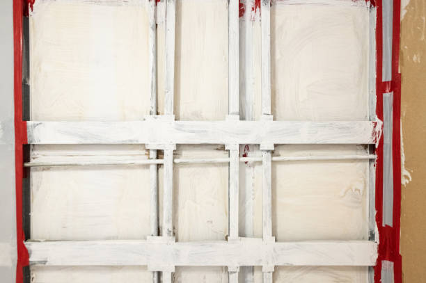 Best Industrial Mold Remediation  in Somerset, TX