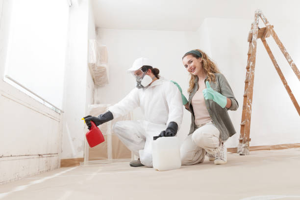 Best Environmental Consulting for Mold Prevention  in Somerset, TX