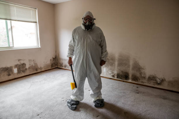 Best Mold Prevention Services  in Somerset, TX